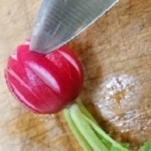 ラディッシュ 花 飾り切り レシピ 作り方 By Yoshi Original 楽天レシピ ラディッシュ 花 飾り切り レシピ 作り方 By Yoshi Original 楽天レシピ